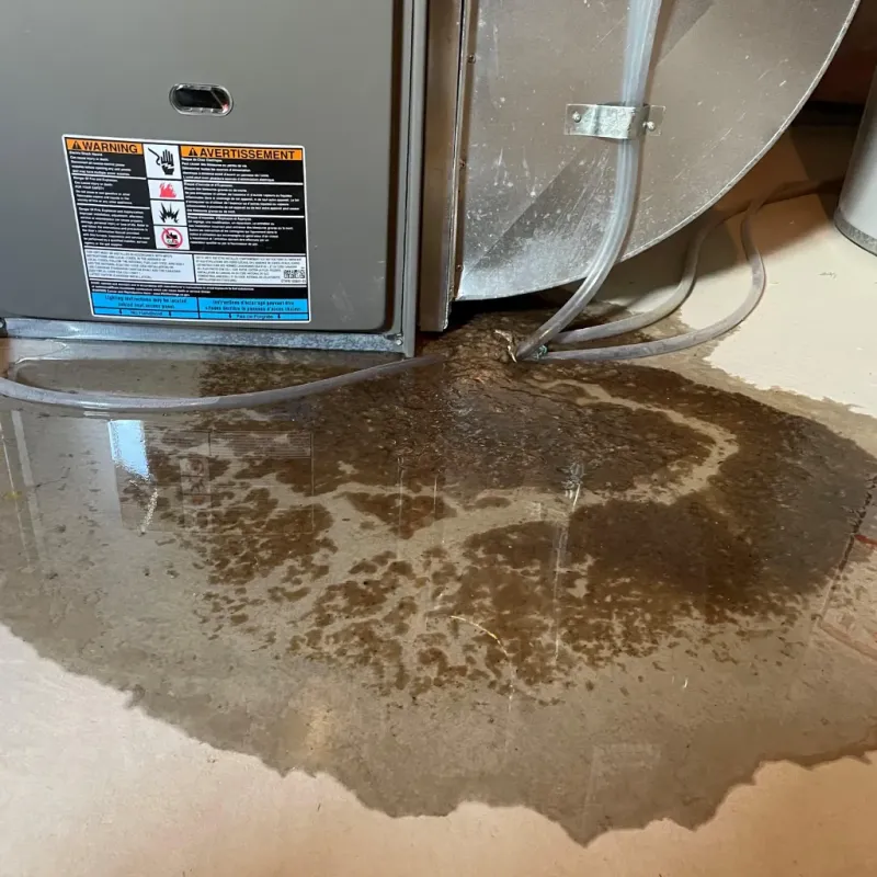 Appliance Leak Cleanup in Harlowton, MT