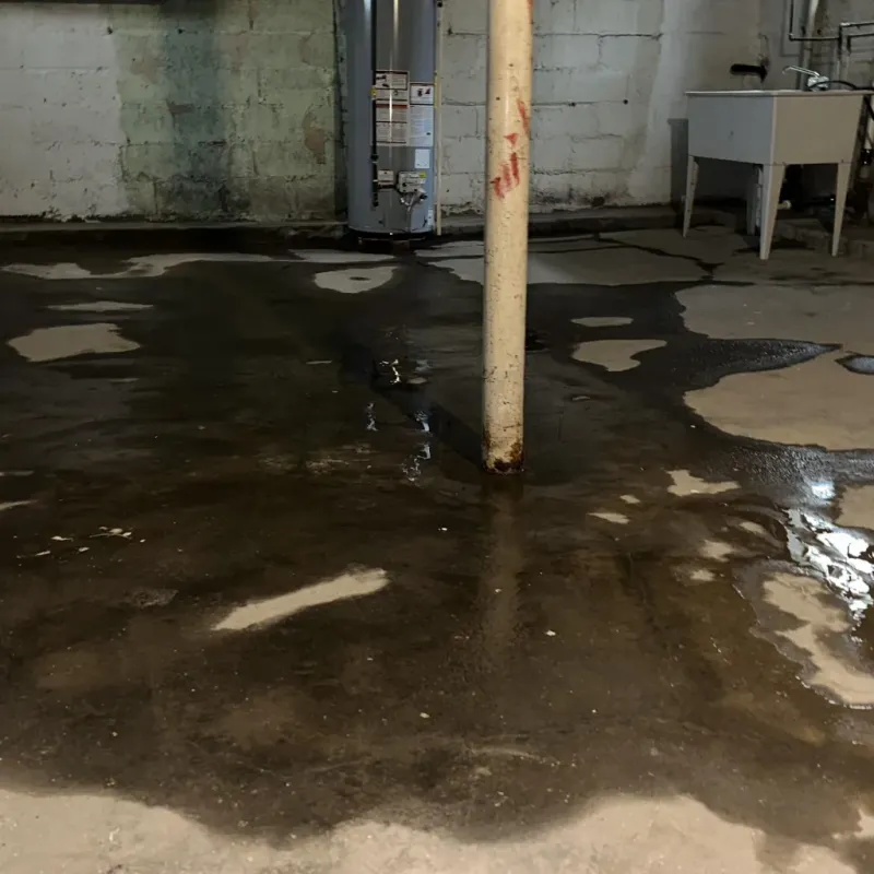Emergency Water Extraction And Removal in Harlowton, MT